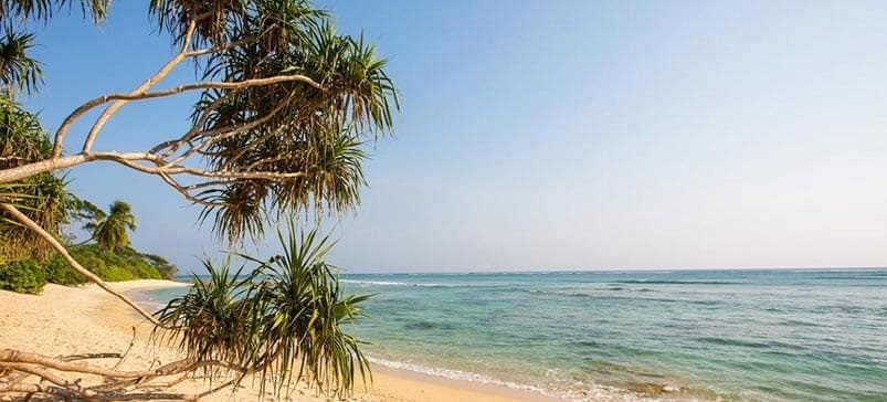 North Andaman Explorer – Baratang, Diglipur & Rangat