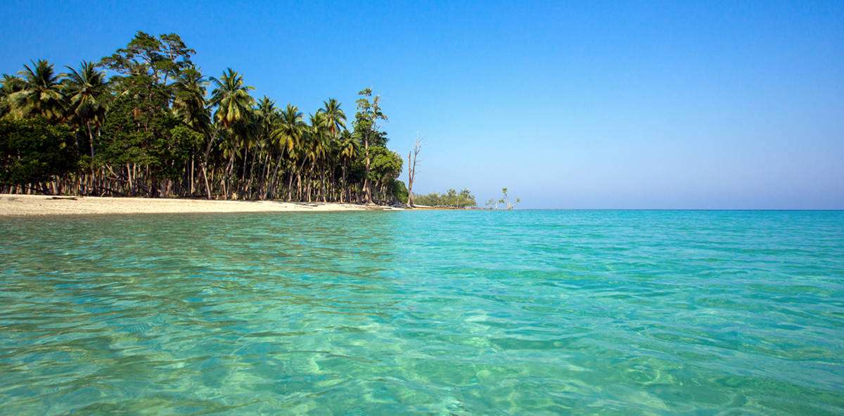 Rangat & Baratang Adventure with Islands