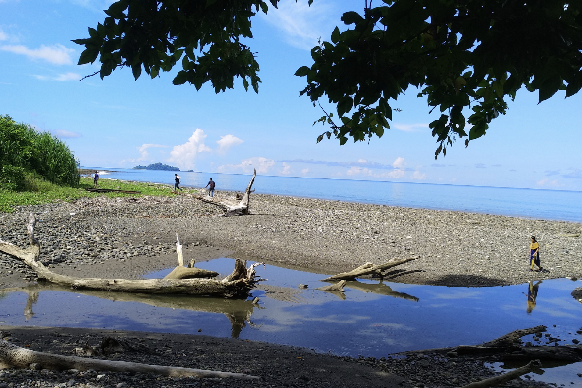 Grand Andaman Expedition